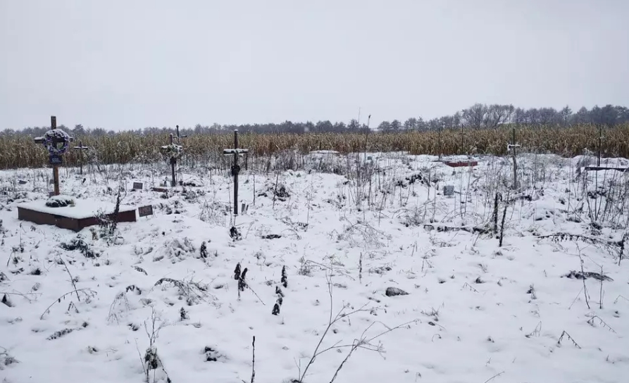 Одинаковые кресты с номерами в поле кукурузы: как в Украине хоронят бездомных